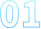 01